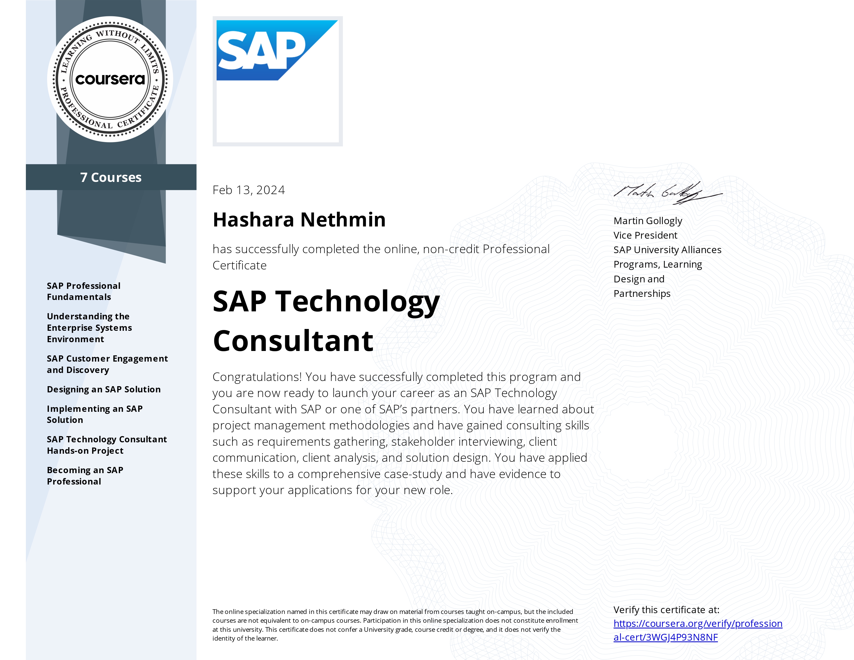 SAP Technology Consultant Certificate